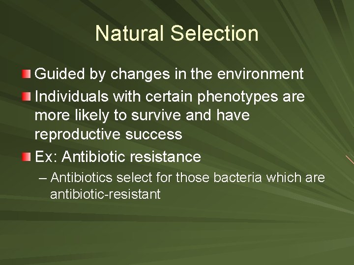 Natural Selection Guided by changes in the environment Individuals with certain phenotypes are more