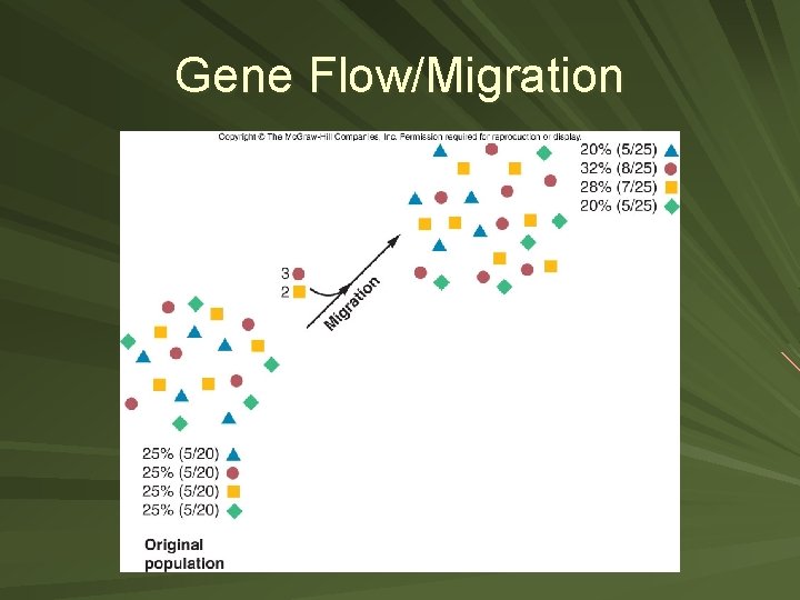 Gene Flow/Migration 