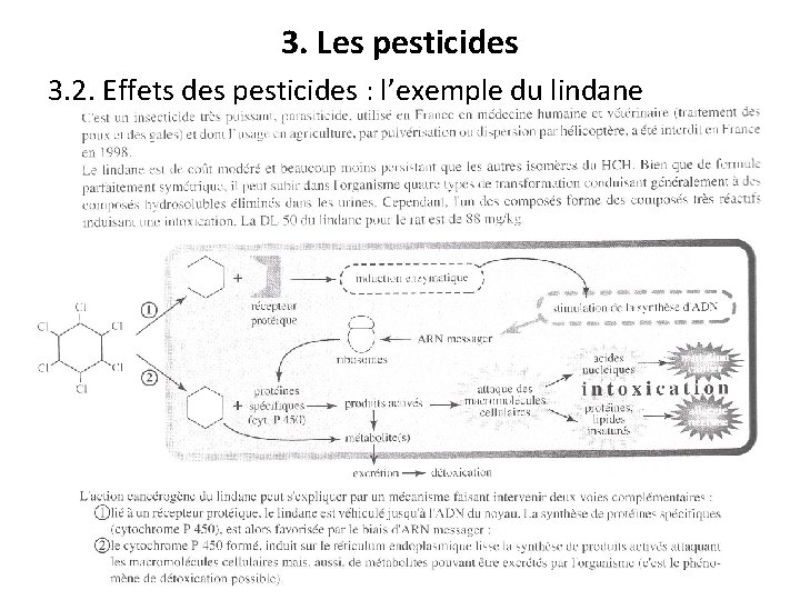 3. Les pesticides 3. 2. Effets des pesticides : l’exemple du lindane 