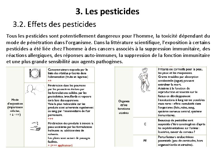 3. Les pesticides 3. 2. Effets des pesticides Tous les pesticides sont potentiellement dangereux