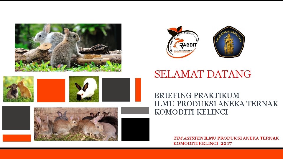 SELAMAT DATANG BRIEFING PRAKTIKUM ILMU PRODUKSI ANEKA TERNAK KOMODITI KELINCI TIM ASISTEN ILMU PRODUKSI