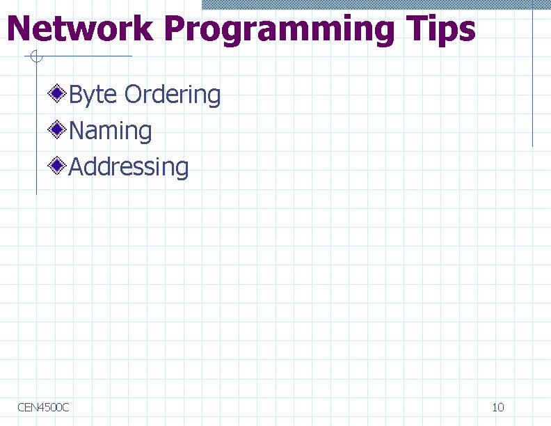 Network Programming Tips Byte Ordering Naming Addressing CEN 4500 C 10 