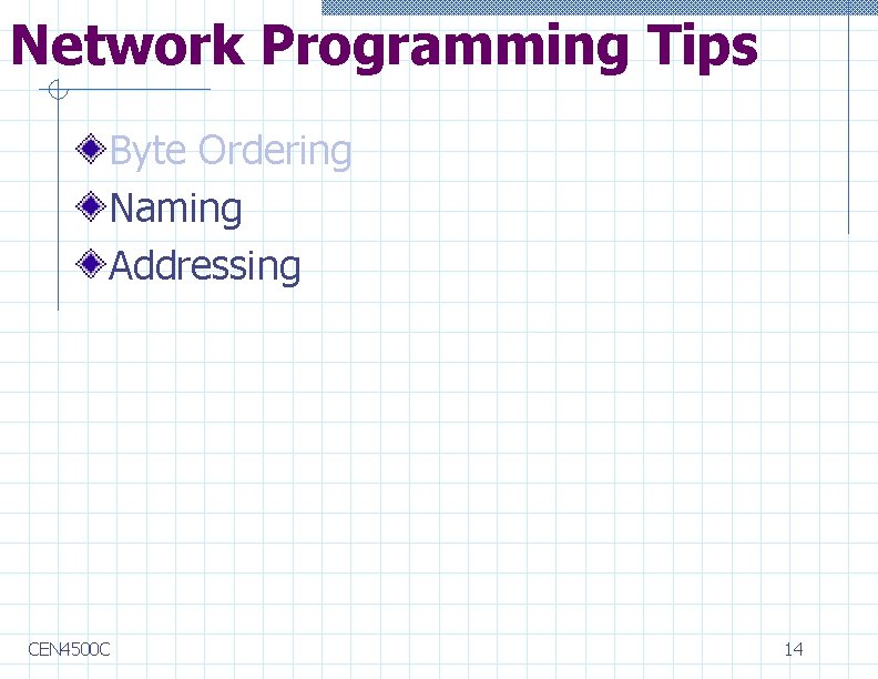 Network Programming Tips Byte Ordering Naming Addressing CEN 4500 C 14 