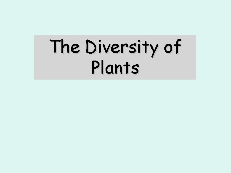 The Diversity of Plants 