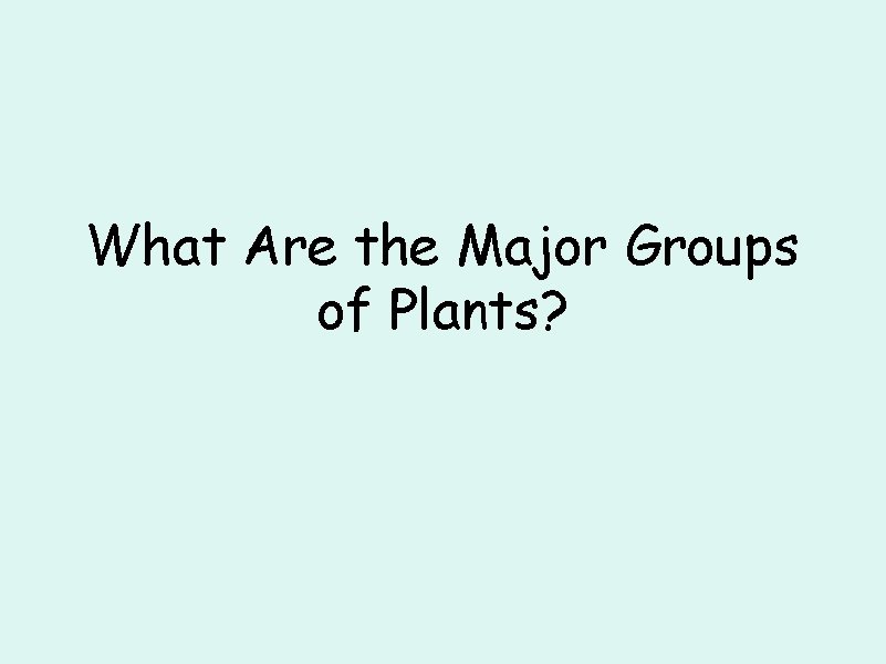 What Are the Major Groups of Plants? 