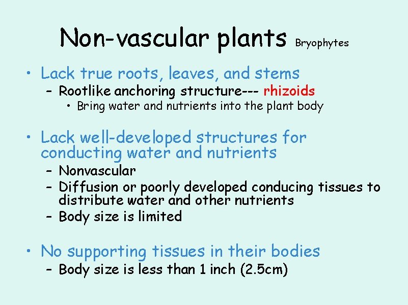 Non-vascular plants Bryophytes • Lack true roots, leaves, and stems – Rootlike anchoring structure---