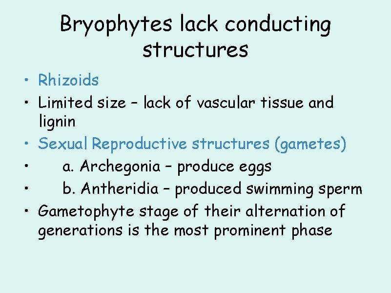 Bryophytes lack conducting structures • Rhizoids • Limited size – lack of vascular tissue