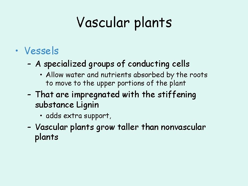 Vascular plants • Vessels – A specialized groups of conducting cells • Allow water