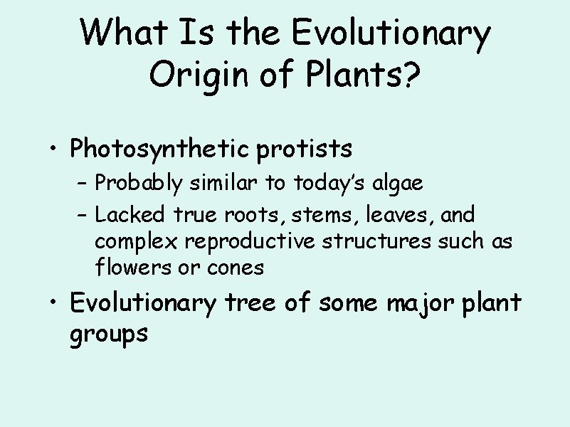 What Is the Evolutionary Origin of Plants? • Photosynthetic protists – Probably similar to