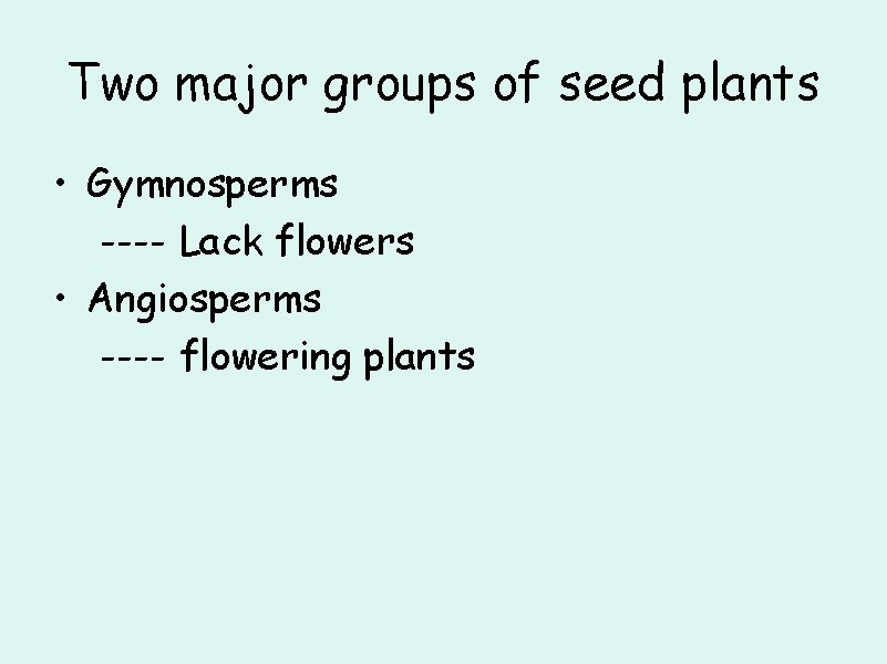 Two major groups of seed plants • Gymnosperms ---- Lack flowers • Angiosperms ----