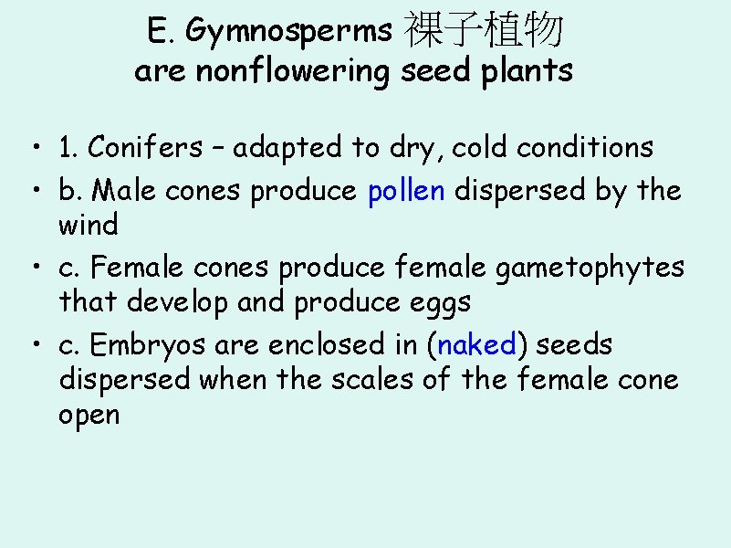 E. Gymnosperms 裸子植物 are nonflowering seed plants • 1. Conifers – adapted to dry,