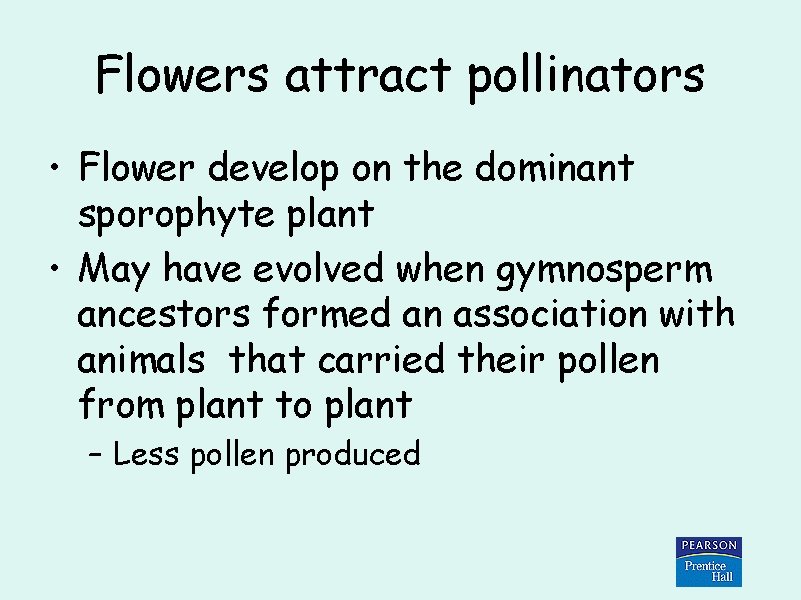 Flowers attract pollinators • Flower develop on the dominant sporophyte plant • May have