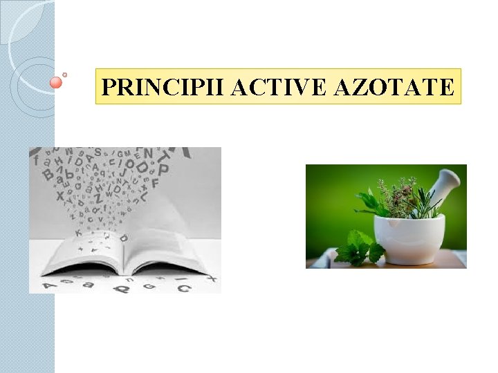 PRINCIPII ACTIVE AZOTATE 