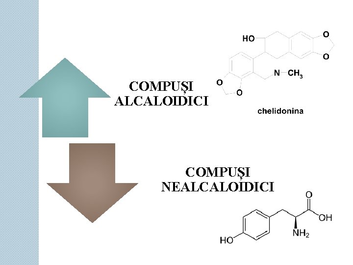 COMPUȘI ALCALOIDICI COMPUȘI NEALCALOIDICI 