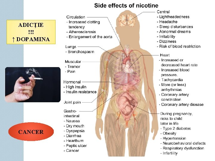 ADICŢIE !!! ↑ DOPAMINA CANCER 