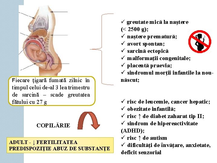 ü greutate mică la naştere Fiecare ţigară fumată zilnic în timpul celui de-al 3