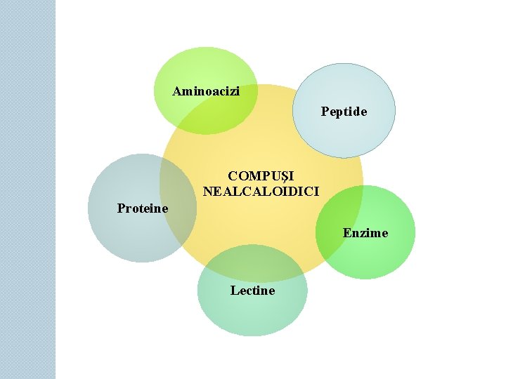 Aminoacizi Peptide COMPUŞI NEALCALOIDICI Proteine Enzime Lectine 