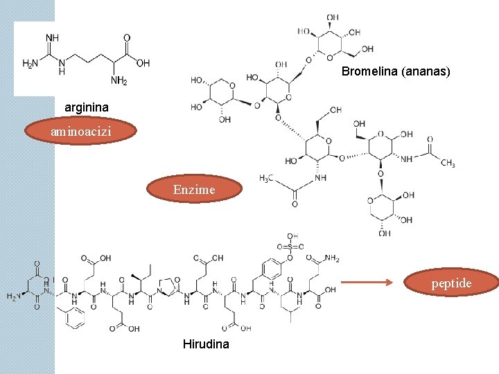 Bromelina (ananas) arginina aminoacizi Enzime peptide Hirudina 