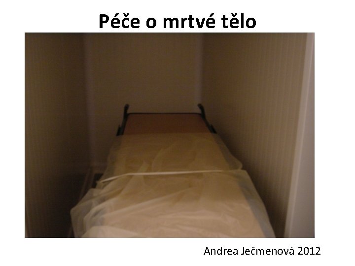 Péče o mrtvé tělo Andrea Ječmenová 2012 Péče o mrtvé tělo Andrea Ječmenová 2012