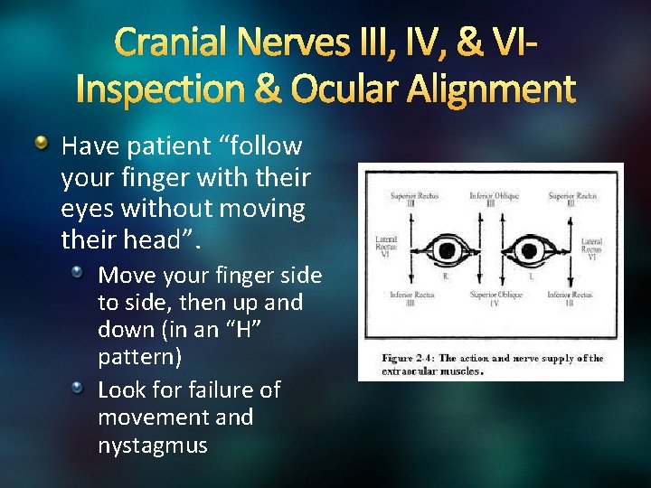 Cranial Nerves III, IV, & VIInspection & Ocular Alignment Have patient “follow your finger