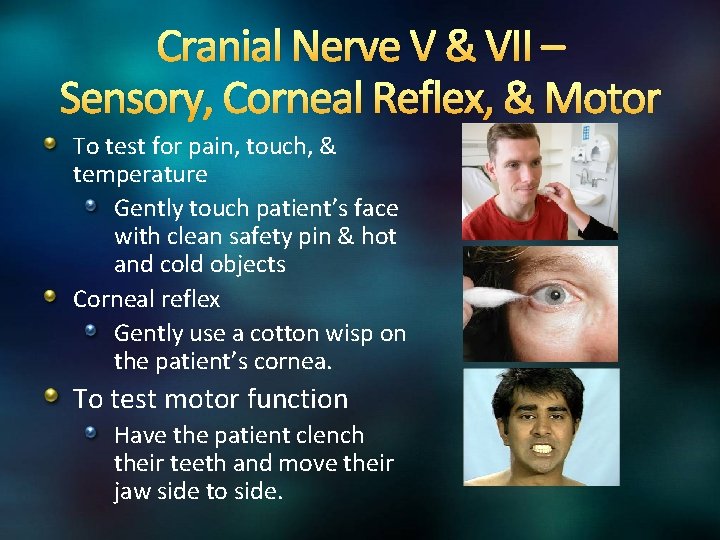 Cranial Nerve V & VII – Sensory, Corneal Reflex, & Motor To test for