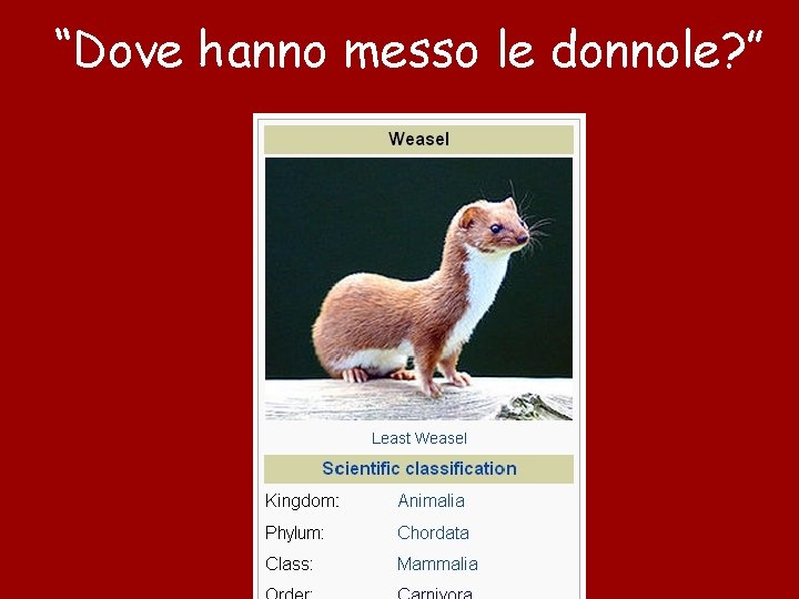 “Dove hanno messo le donnole? ” 