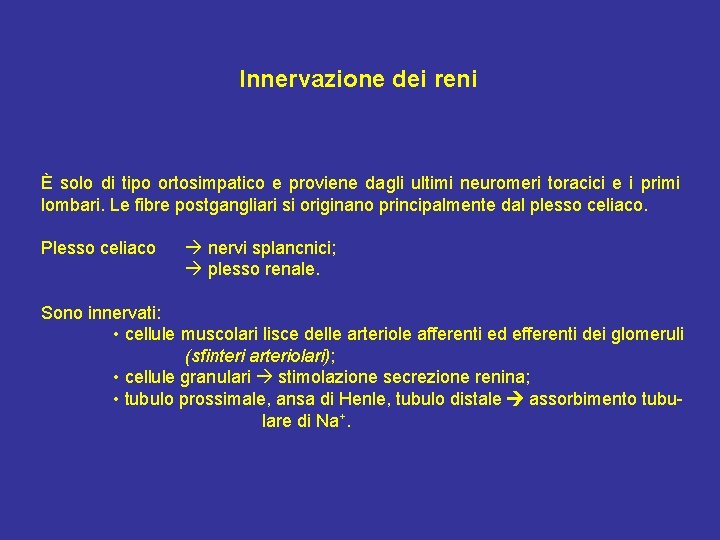 Innervazione dei reni È solo di tipo ortosimpatico e proviene dagli ultimi neuromeri toracici