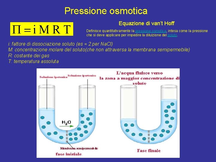 Pressione osmotica Equazione di van’t Hoff Definisce quantitativamente la pressione osmotica, intesa come la