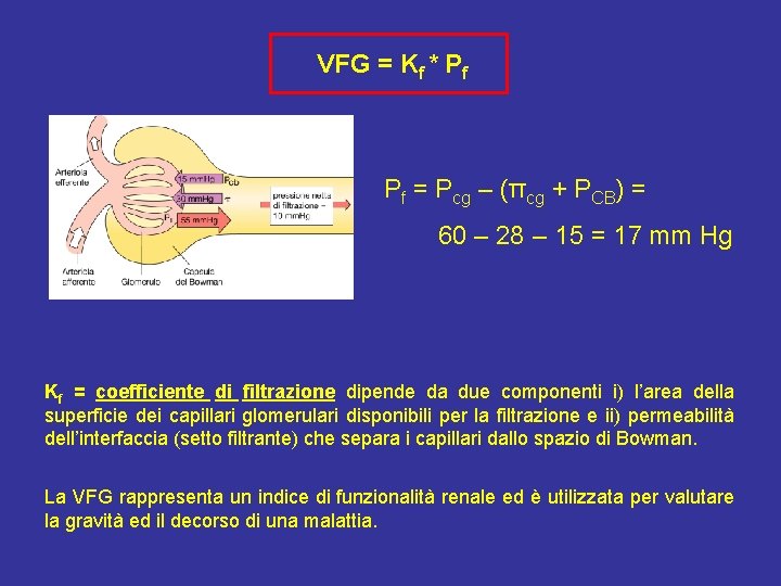 VFG = Kf * Pf Pf = Pcg – (πcg + PCB) = 60