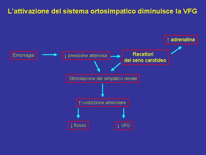 L’attivazione del sistema ortosimpatico diminuisce la VFG ↑ adrenalina Emorragia ↓ pressione arteriosa Recettori