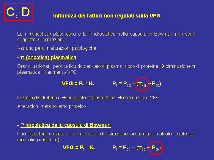 C, D Influenza dei fattori non regolati sulla VFG La π (oncotica) plasmatica e