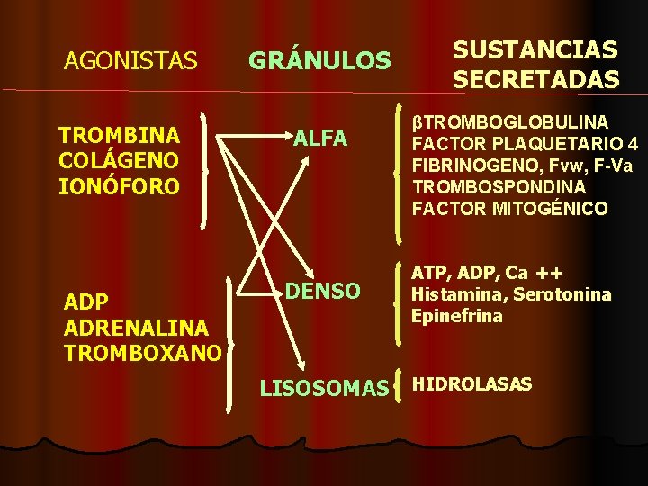 AGONISTAS TROMBINA COLÁGENO IONÓFORO ADP ADRENALINA TROMBOXANO GRÁNULOS ALFA DENSO SUSTANCIAS SECRETADAS βTROMBOGLOBULINA FACTOR