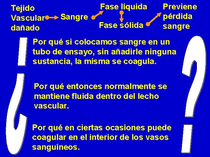 Tejido Vascular dañado Fase líquida Sangre Fase sólida Previene pérdida sangre Por qué si