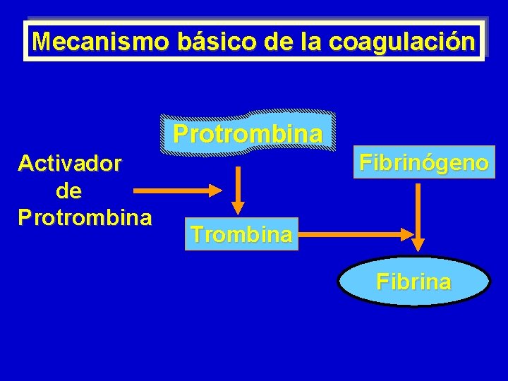 Mecanismo básico de la coagulación Protrombina Activador de Protrombina Fibrinógeno Trombina Fibrina 