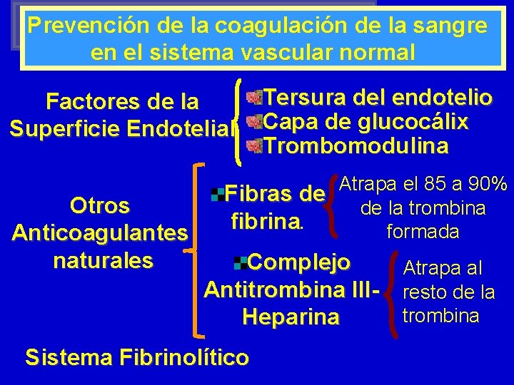Prevención de la coagulación de la sangre en el sistema vascular normal Factores de