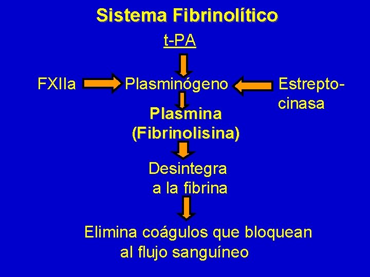 Sistema Fibrinolítico t-PA FXIIa Plasminógeno Plasmina (Fibrinolisina) Estreptocinasa Desintegra a la fibrina Elimina coágulos