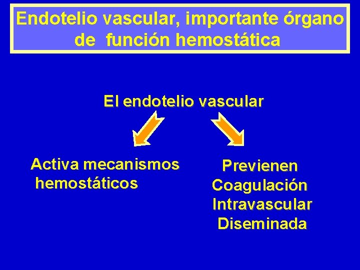Endotelio vascular, importante órgano de función hemostática El endotelio vascular Activa mecanismos hemostáticos Previenen