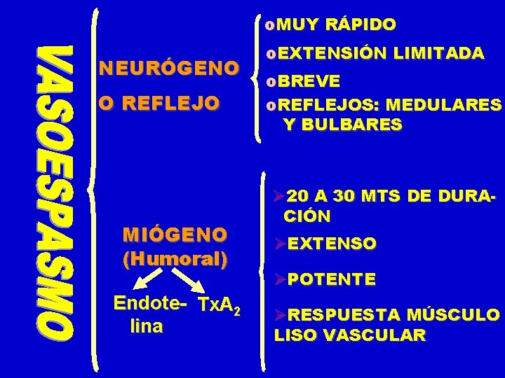o. MUY RÁPIDO NEURÓGENO O REFLEJO MIÓGENO (Humoral) Endote- Tx. A 2 lina o.