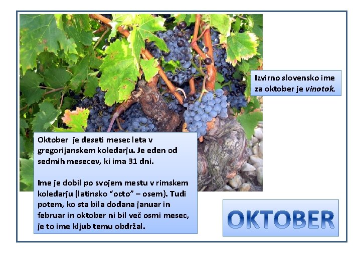 Izvirno slovensko ime za oktober je vinotok. Oktober je deseti mesec leta v gregorijanskem