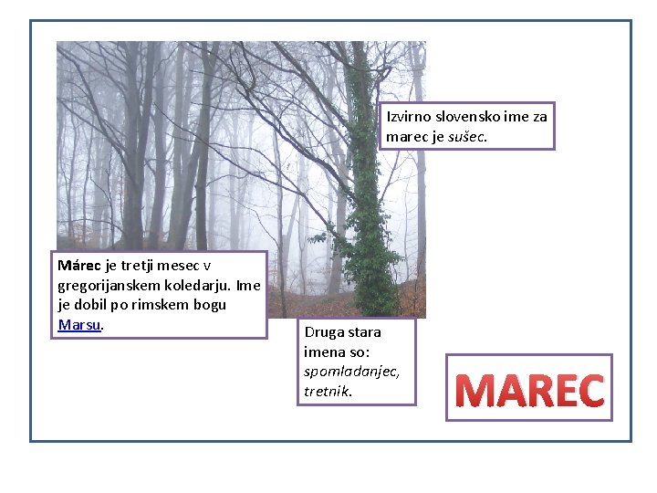 Izvirno slovensko ime za marec je sušec. Márec je tretji mesec v gregorijanskem koledarju.