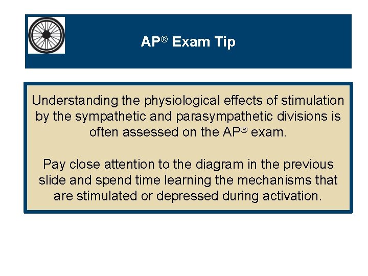 AP® Exam Tip Understanding the physiological effects of stimulation by the sympathetic and parasympathetic