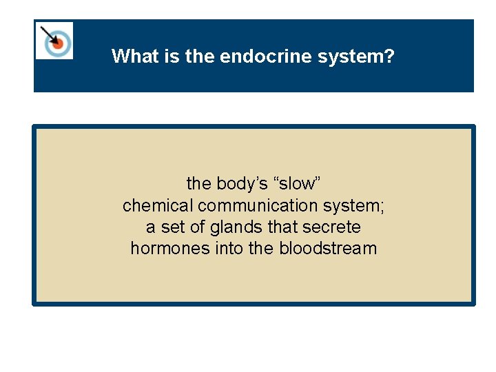 What is the endocrine system? the body’s “slow” chemical communication system; a set of