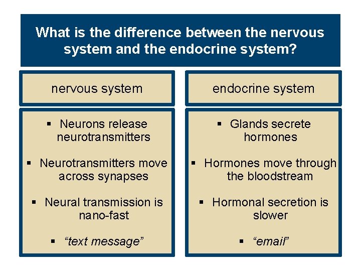 What is the difference between the nervous system and the endocrine system? nervous system