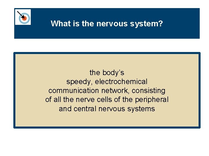 What is the nervous system? the body’s speedy, electrochemical communication network, consisting of all