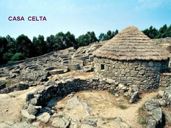 CASA CELTA 