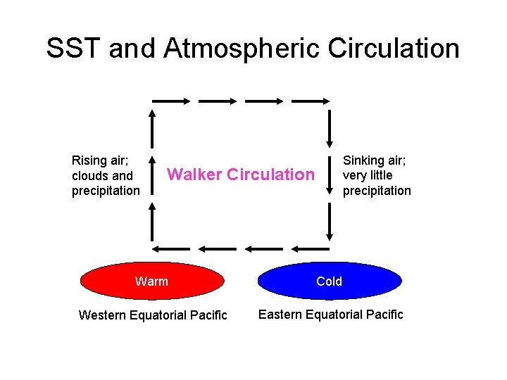 SST and Atmospheric Circulation Rising air; clouds and precipitation Sinking air; very little precipitation