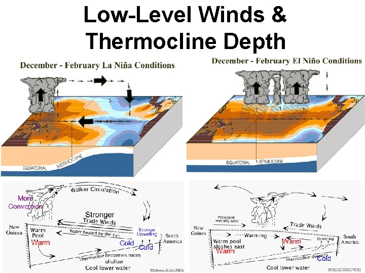 Low-Level Winds & Thermocline Depth La Niña: stronger-than-average easterlies lead to a deeper (shallower)-than-average