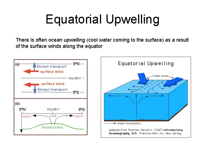 Equatorial Upwelling There is often ocean upwelling (cool water coming to the surface) as