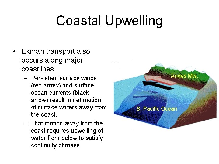 Coastal Upwelling • Ekman transport also occurs along major coastlines – Persistent surface winds