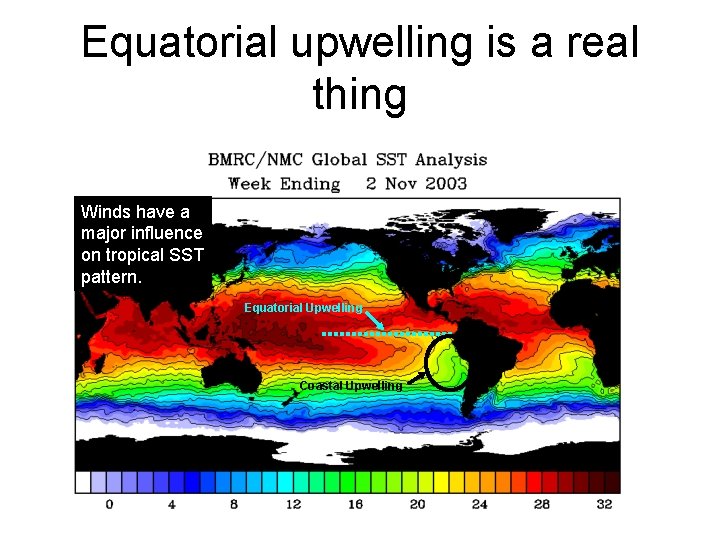 Equatorial upwelling is a real thing Winds have a major influence on tropical SST